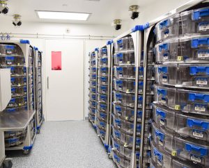 Interior view of a modern vivarium cage room featuring rows of transparent modular animal housing systems on mobile racks. Each cage is equipped with blue and gray color-coded latches. The room includes white walls, speckled gray flooring, and overhead lighting, emphasizing a clean, organized layout for research and care in a laboratory environment.