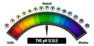 An image illustrating the pH scale